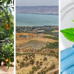 מנשה (מנש') שלום נבחר לכהונה נוספת כמנכ"ל צמח מפעלים ומשקי עמק הירדן