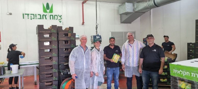 גיל הס ובסיליוס בצמח אבוקדו