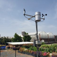 לראשונה מאז חורף 1998-99 – פחות מ-200 מ"מ משקעים בעמק הירדן