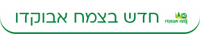 צמח אבוקדו מובייל