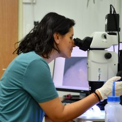 מעבדת "צמח עמקים" יוצאת לדרך