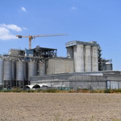 צמח תערובות מוסיפה לצמוח
