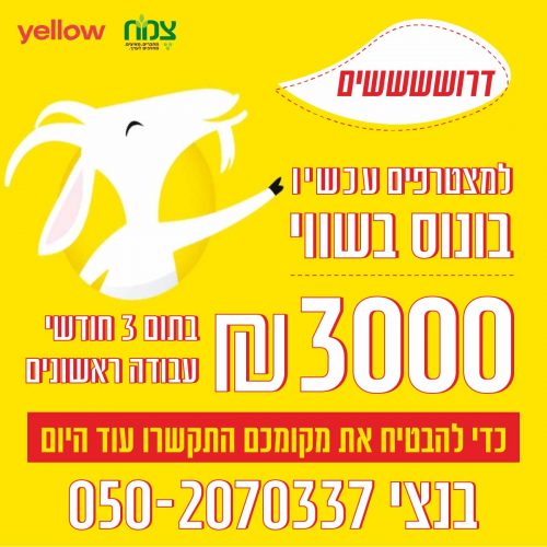 ריבוע 3000 25.7